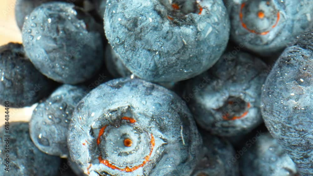 A mesmerizing macro video captures the essence of blueberries ...