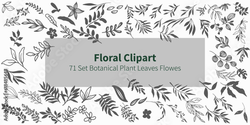 Floral Clipart. 71 set botanical plant leaves flower. Art & Illustration