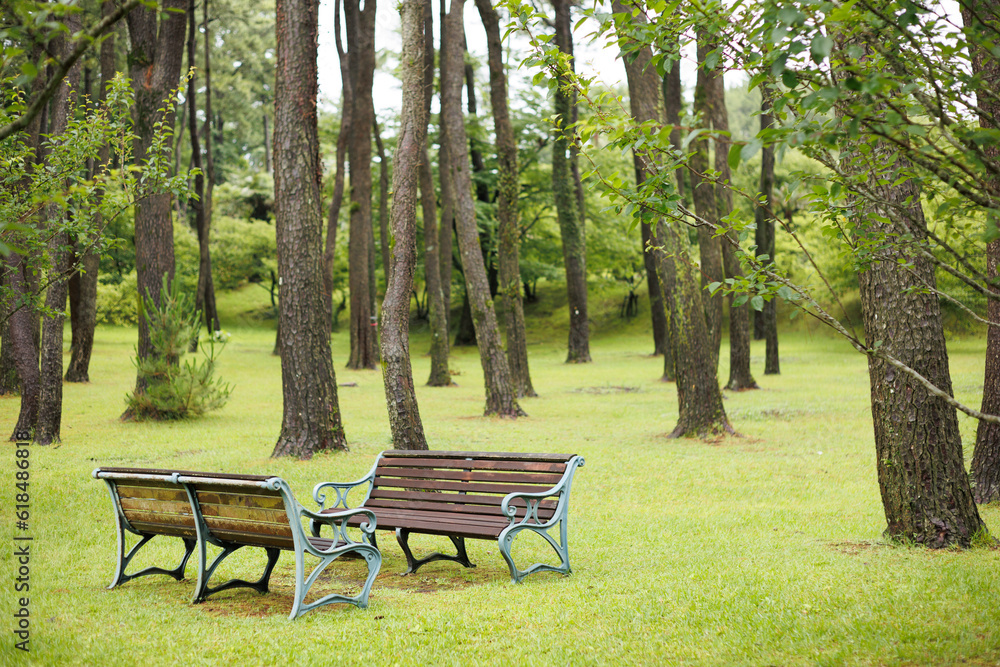 bench in nature park bench in nature park