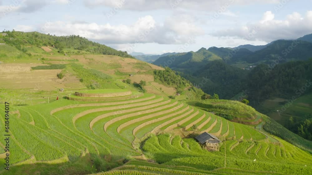 Aerial top view of fresh paddy rice terraces, green agricultural fields in countryside or rural area of Mu Cang Chai, mountain hills valley in Asia, Vietnam. Nature landscape background. Aerial top view of fresh paddy rice terraces, green agricultural fields in countryside or rural area of Mu Cang Chai, mountain hills valley in Asia, Vietnam. Nature landscape background.