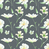 Watercolor delicate wildflowers, herbs floral seamless pattern on dark back, Meadow wild flower and foliage, leaf, plants. Spring garden, Repeatable texture, wrapping paper, wallpaper, fabric, textile