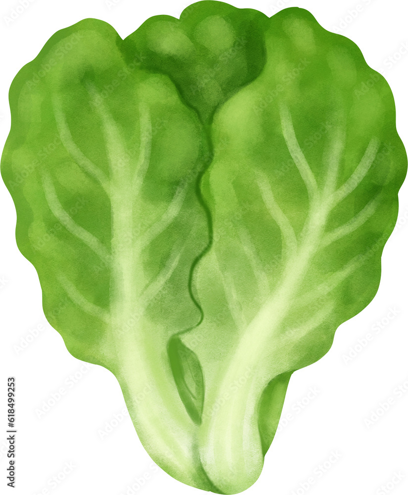 Obraz premium Mustard greens