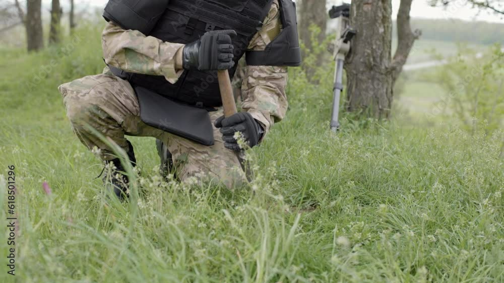Demining. A man with a sapper shovel works to find a mine. Man trying to detect mine in demining process in the grass near the pine trees. The process of demining the territory Demining. A man with a sapper shovel works to find a mine. Man trying to detect mine in demining process in the grass near the pine trees. The process of demining the territory
