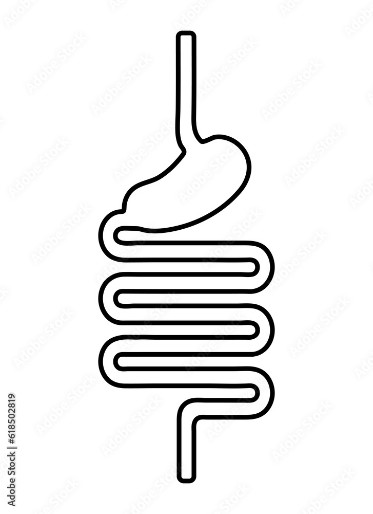 Digestive system icon in flat style. Digestive tract outline. Digestive system icon in flat style. Digestive tract outline.
