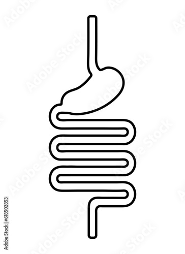 Digestive system icon in flat style. Digestive tract outline.