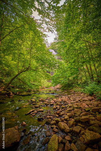 View of Falls Creek at Falls Creek Falls State Park in Tennessee.