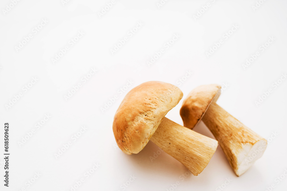 Fototapeta premium Fresh forest porcini mushrooms on a white surface close up, soft focus, copy space 