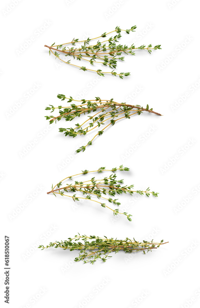 A collection of fresh organic Thyme leaves, bunches of garden herbal produce, isolated against a transparent background.