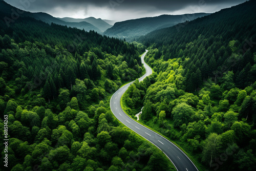 Canvas Print Road leading through lush pine tree green forest, aerial drone view landscape