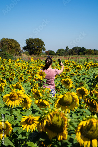 woman taking selfies on a sunflower field