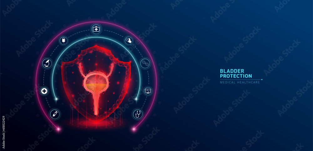 Bladder medical healthcare. Human bladder anatomy organ translucent low poly triangle inside shield futuristic red on dark blue background. Protection medical innovation concept. Vector. - obrazy, fototapety, plakaty 
