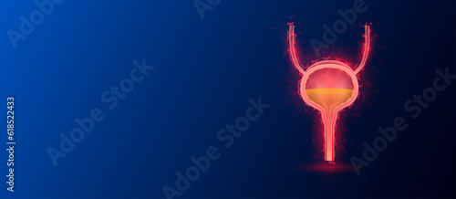 Human bladder anatomy red translucent low poly triangles on dark blue background. Futuristic glowing organ hologram and copy space for text. Medical and science concept. Banner design vector.