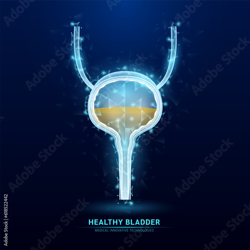 Human bladder white translucent low poly triangles on dark blue background. Futuristic glowing organ anatomy. Innovative technology. Health care medical and science concept. Vector EPS10.