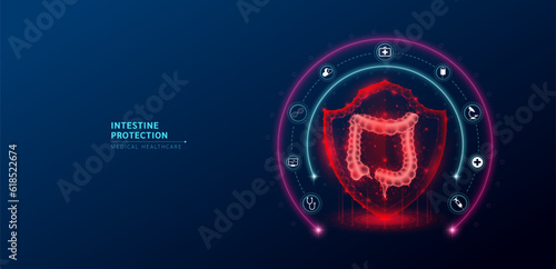 Intestine medical healthcare. Human intestine anatomy organ translucent low poly triangle inside shield futuristic red on dark blue background. Immunity protection medical innovation concept. Vector.