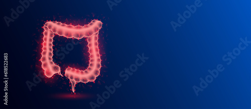 Human intestine anatomy red translucent low poly triangles on dark blue background. Futuristic glowing organ hologram and copy space for text. Medical and science concept. Banner design vector.