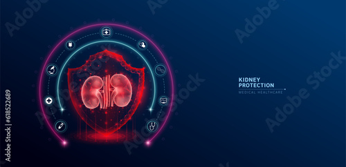 Kidney medical healthcare. Human kidney anatomy organ translucent low poly triangle inside shield futuristic glowing red on blue background. Immunity protection medical innovation concept. Vector.