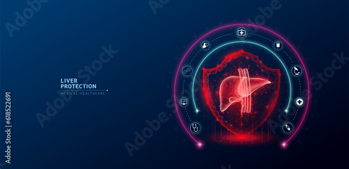 Liver medical healthcare. Human liver anatomy organ translucent low poly triangle inside shield futuristic glowing red on dark blue background. Immunity protection medical innovation concept. Vector.