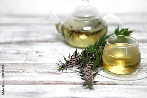 Leonurus cardiaca, known as motherwort is an herbaceous perennial plant.Medicinal plant. Motherwort