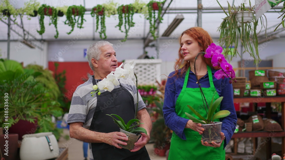 Horticulture Staff Walking with Flowers in Store Aisle. Young Woman and Senior Man in Aprons Carrying Plants at small business Flower shop
