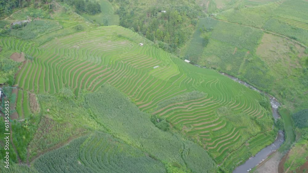 Aerial top view of fresh paddy rice terraces, green agricultural fields in countryside or rural area of Mu Cang Chai, mountain hills valley in Asia, Vietnam. Nature landscape background. Aerial top view of fresh paddy rice terraces, green agricultural fields in countryside or rural area of Mu Cang Chai, mountain hills valley in Asia, Vietnam. Nature landscape background.