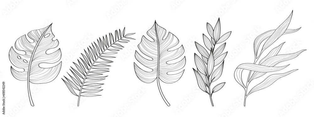  Tropical leaves, exotic plats, set of hand drawn illustration