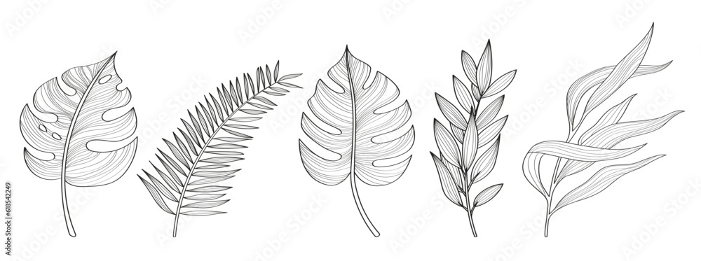 Tropical leaves, exotic plats, set of hand drawn illustration Tropical leaves, exotic plats, set of hand drawn illustration