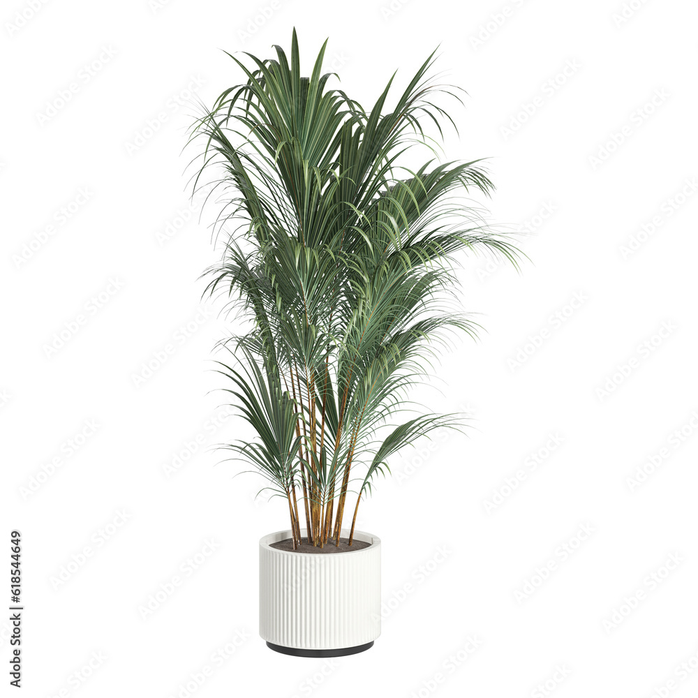 plant in a pot On transparent background PNG file. Can be used for invitations, greeting, wedding card plant in a pot On transparent background PNG file. Can be used for invitations, greeting, wedding card