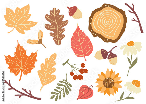 Fall forest leaves, berries and flowers. Autumn mood clipart. Set of vector illustrations.