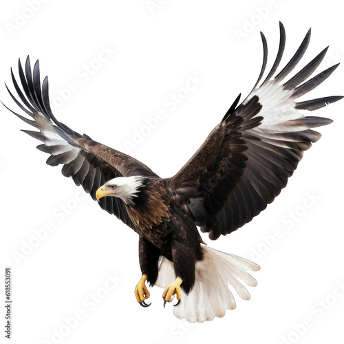 flying eagle bird, isolated on transparent background