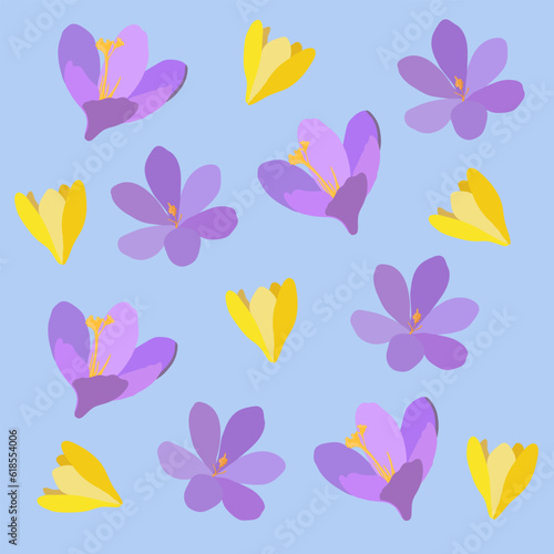 Collection of crocuses and saffrons. A set of spring purple, yellow and white crocuses. Vector illustration of beautiful multicolored flowers