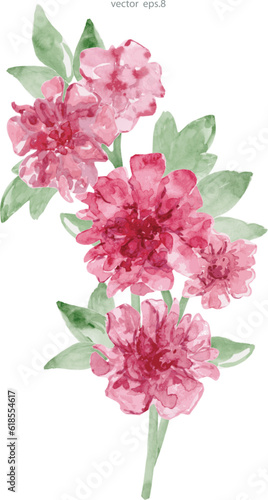 watercolor red flower peony, and green leaves. vector illustrati