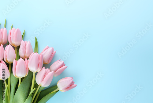 Beautiful bouquet of pink tulips flowers on pastel blue background