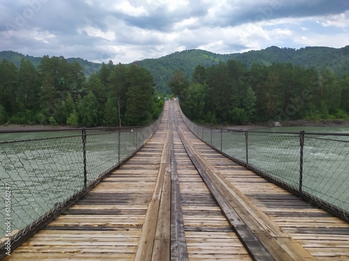 wooden bridge in the forest