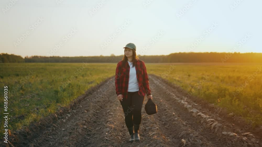 An agronomist farmer walks through a green field of eco crops in rubber boots An agronomist farmer walks through a green field of eco crops in rubber boots