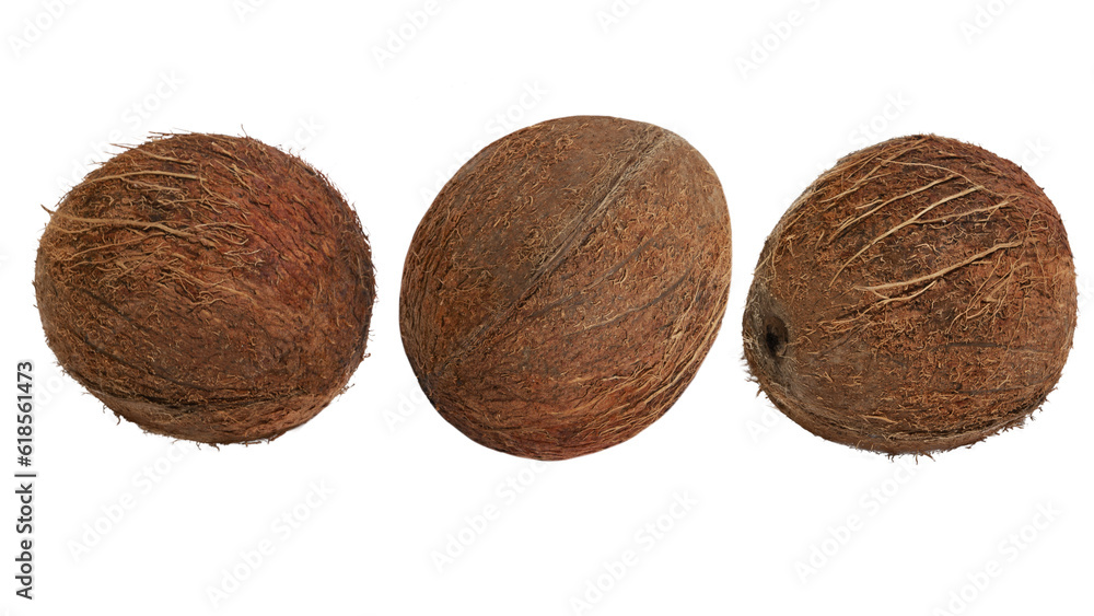 A set of whole coconuts on a white background. A set of whole coconuts on a white background.