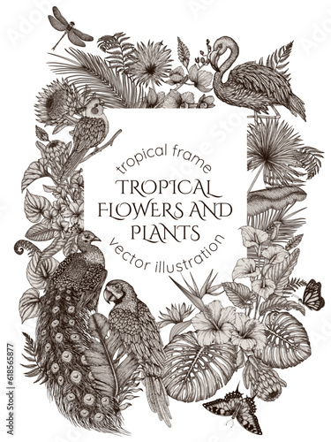 Vector frame with tropical garden with exotic birds. Macaw parrot, peacock, flamingos and cockatiel parrot in engraving style