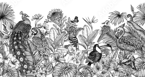 Horizontal vector seamless pattern with tropical garden with exotic birds. Macaw parrot, toucan, hoopoe, peacock, flamingos and cockatiel parrot in engraving style