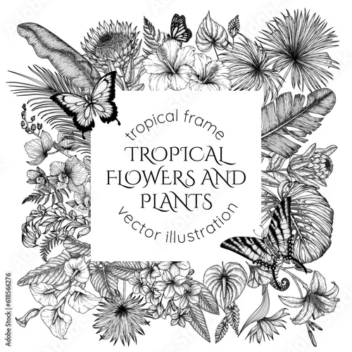 Tropical garden vector frame in engraving style. Anthurium, protea, palm and banana leaves, orchid, liviston, frieze, sabal, plumeria, zantedeschia, hibiscus, lilies, butterflies