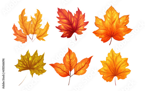 set vector illustration autumn leaf elements isolated on white background