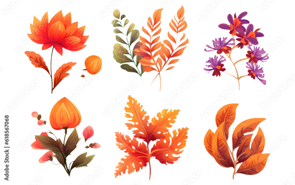 set vector illustration autumn bouquet elements isolated on white background