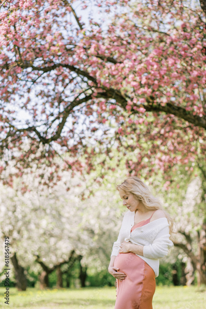 A beautiful pregnant woman walks in a blooming garden. Delicate pink peachy silk dress and white cardigan, long blond hair. Expecting a child, fertility, harmony A beautiful pregnant woman walks in a blooming garden. Delicate pink peachy silk dress and white cardigan, long blond hair. Expecting a child, fertility, harmony