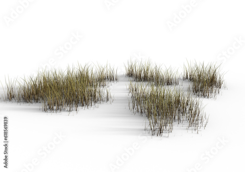 Realistic grass in winter, transparent background. 3d rendering
