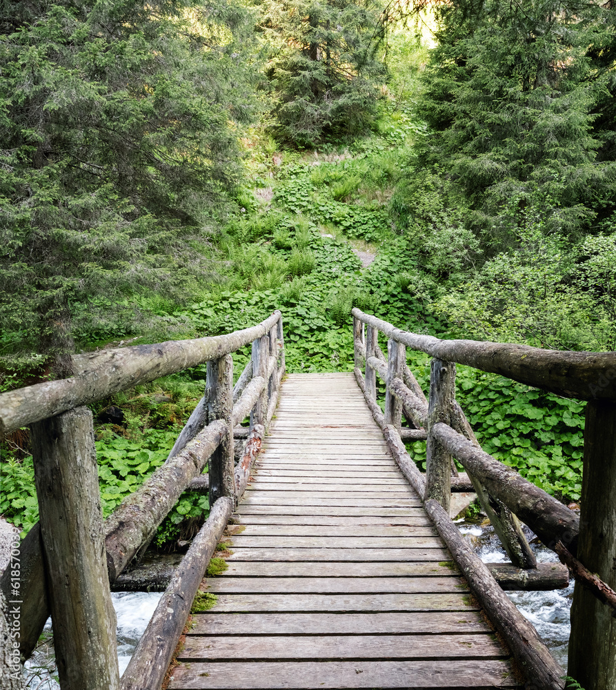 Trentino Alto Adige, Lagorai Italy - Wooden bridge in the path in the middle of the mountain forest Trentino Alto Adige, Lagorai Italy - Wooden bridge in the path in the middle of the mountain forest