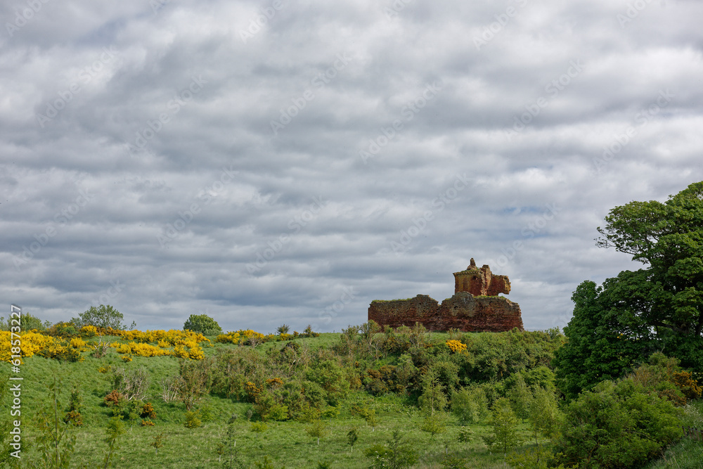 The Ruins of the Curtain Wall and Keep of Red Castle at Lunan Bay, set up on the ridge overlooking fields and flowering yellow Gorse.