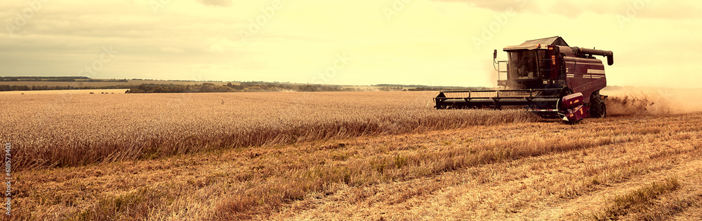 Obraz premium Combine Harvester Working in a Field on a Farm. Seasonal Harvesting the Wheat. Agriculture. Panoramic Banner. Vintage style.