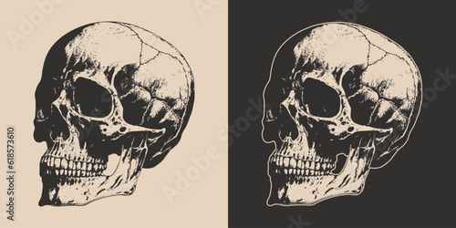 Set of vintage retro scary skull. Can be used like emblem, logo, badge, label. mark, poster or print. Monochrome Graphic Art. Vector. Hand drawn element in engraving