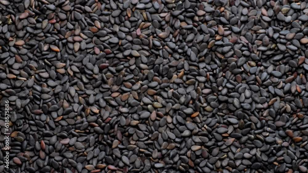 Macro of roasted black sesame seeds. Organic food concept. Macro of roasted black sesame seeds. Organic food concept.