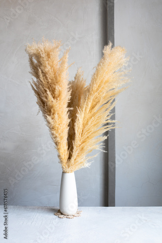 Pampas Grass in a White Vase