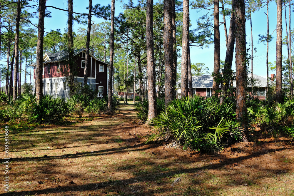 Old rustic wooden cabin in the middle of a pine wood forrest in Florida Old rustic wooden cabin in the middle of a pine wood forrest in Florida