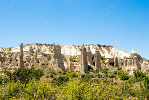 Cappadocia landscape with beautiful flowers and blue sky